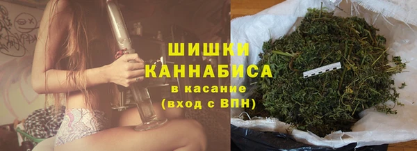 амф Пересвет