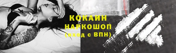 дживик Пестово