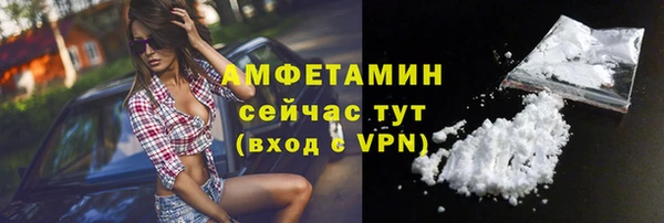 шишки Переславль-Залесский