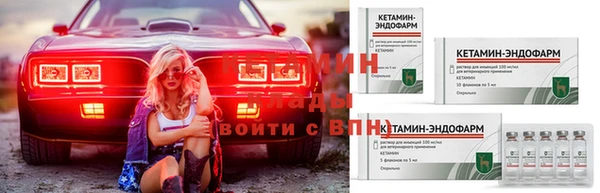 шишки Переславль-Залесский