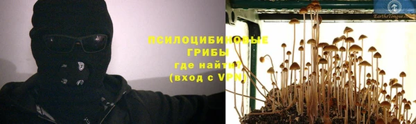 ПСИЛОЦИБИНОВЫЕ ГРИБЫ Хадыженск