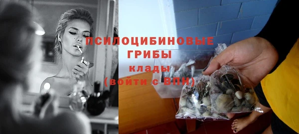 шишки Переславль-Залесский