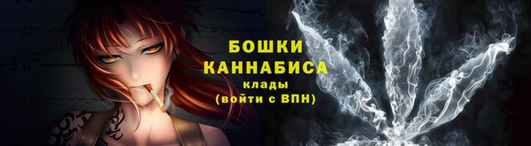 дживик Пестово