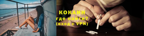 дживик Пестово