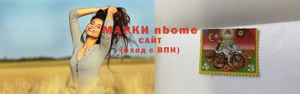 амф Пересвет