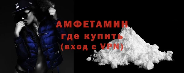 шишки Переславль-Залесский