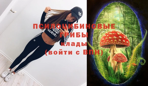 амф Пересвет
