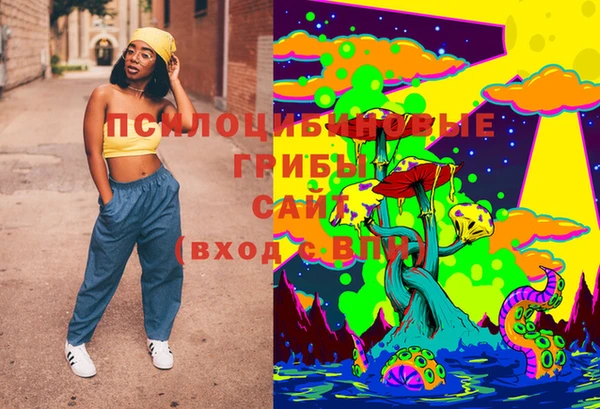 дживик Пестово