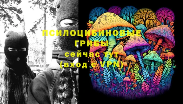 шишки Переславль-Залесский