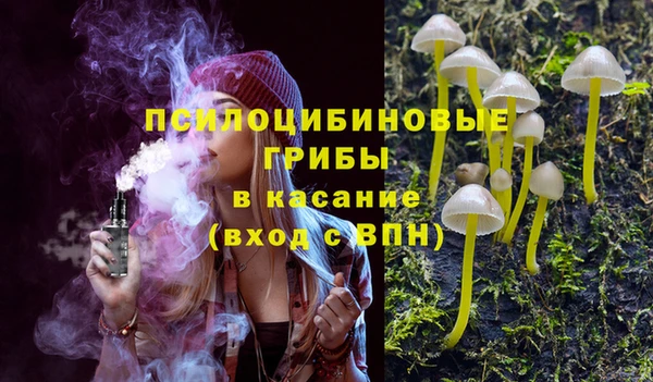 шишки Переславль-Залесский