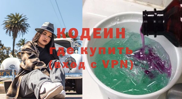 дживик Пестово