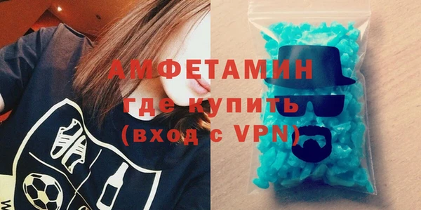 шишки Переславль-Залесский
