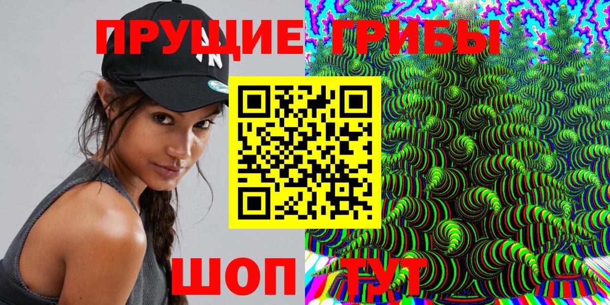 Псилоцибиновые грибы Cubensis Алейск
