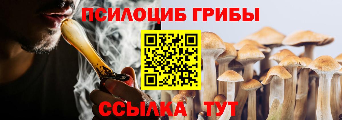 Алейск  Галлюциногенные грибы Cubensis  Галлюциногенные грибы MAGIC MUSHROOMS  Вход с VPN 